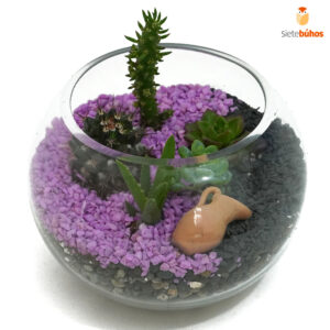 Terrario abierto circular 15 cm #2