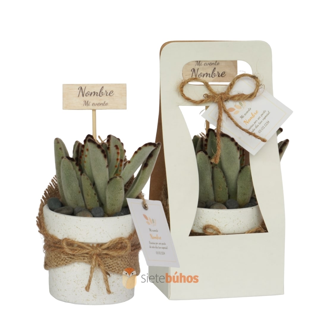 Recuerdo arcilla 7 cm #6 blanco con chispa textura crema