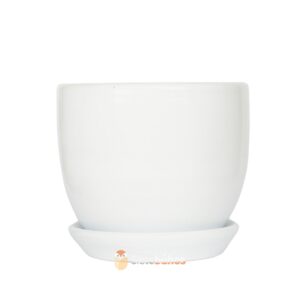 Maceta mediana arcilla blanca 20x18 cm
