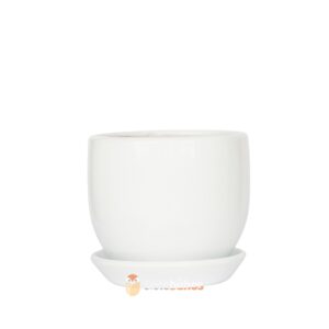 Maceta arcilla blanca 15x14 cm
